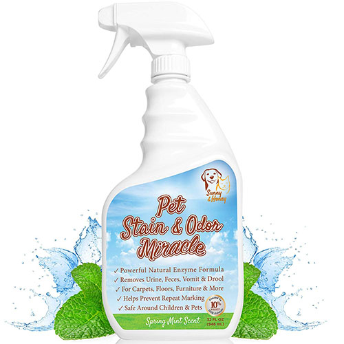 Pet Stain & Odor Miracle - Enzyme Cleaner for Dog and Cat