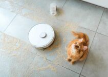 best vacuums for cat hair